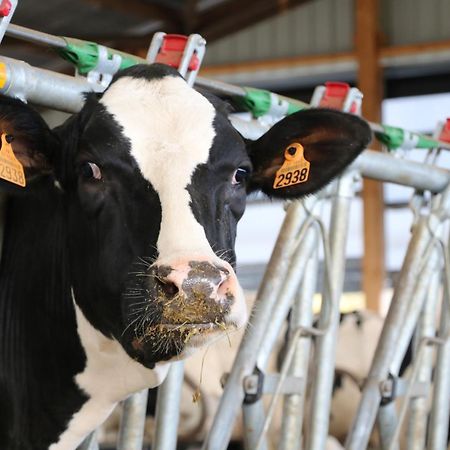 Le Thuit - F2 Plain Pied Tout Equipe A La Ferme Charleval  Eksteriør billede