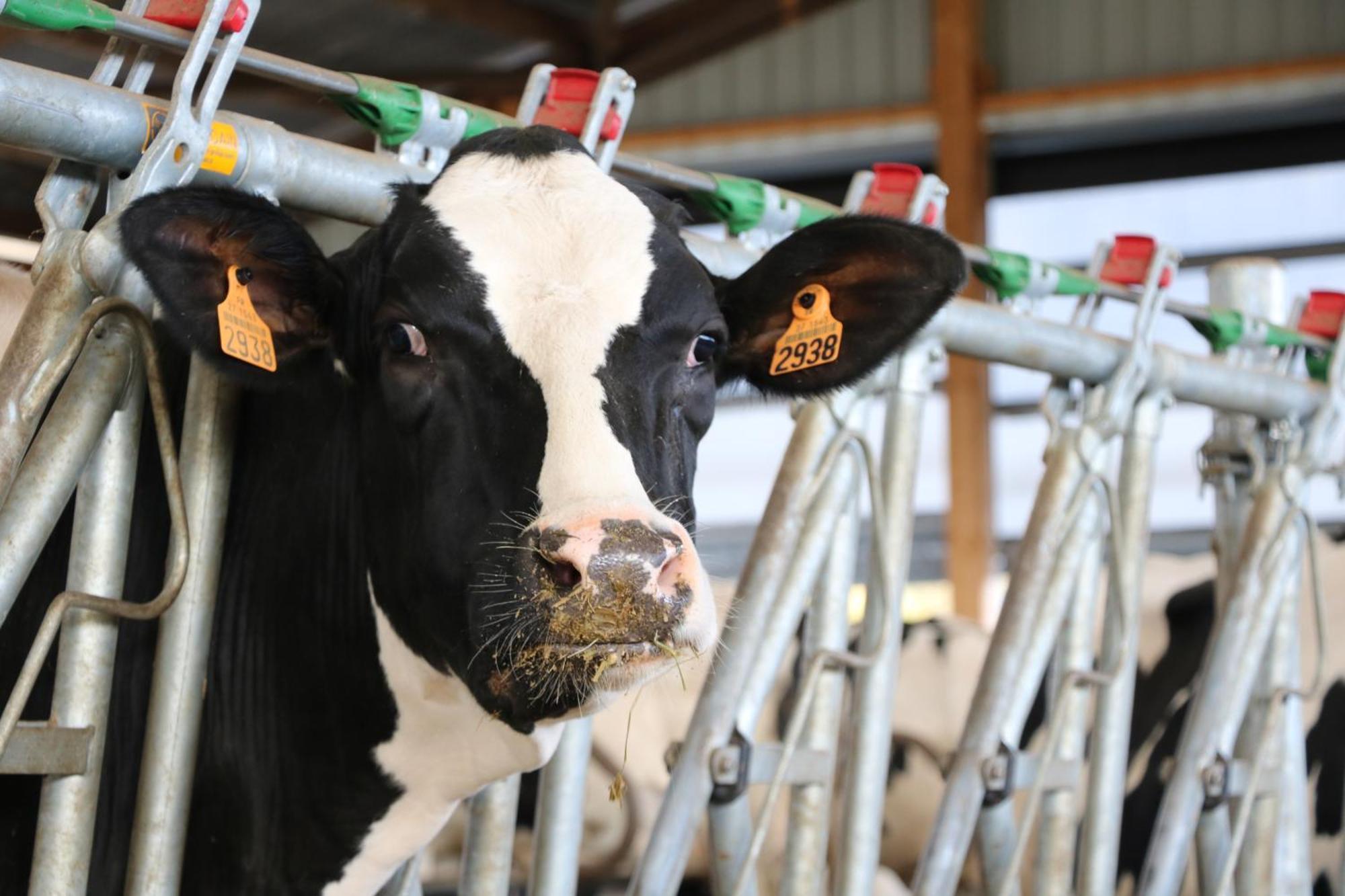 Le Thuit - F2 Plain Pied Tout Equipe A La Ferme Charleval  Eksteriør billede